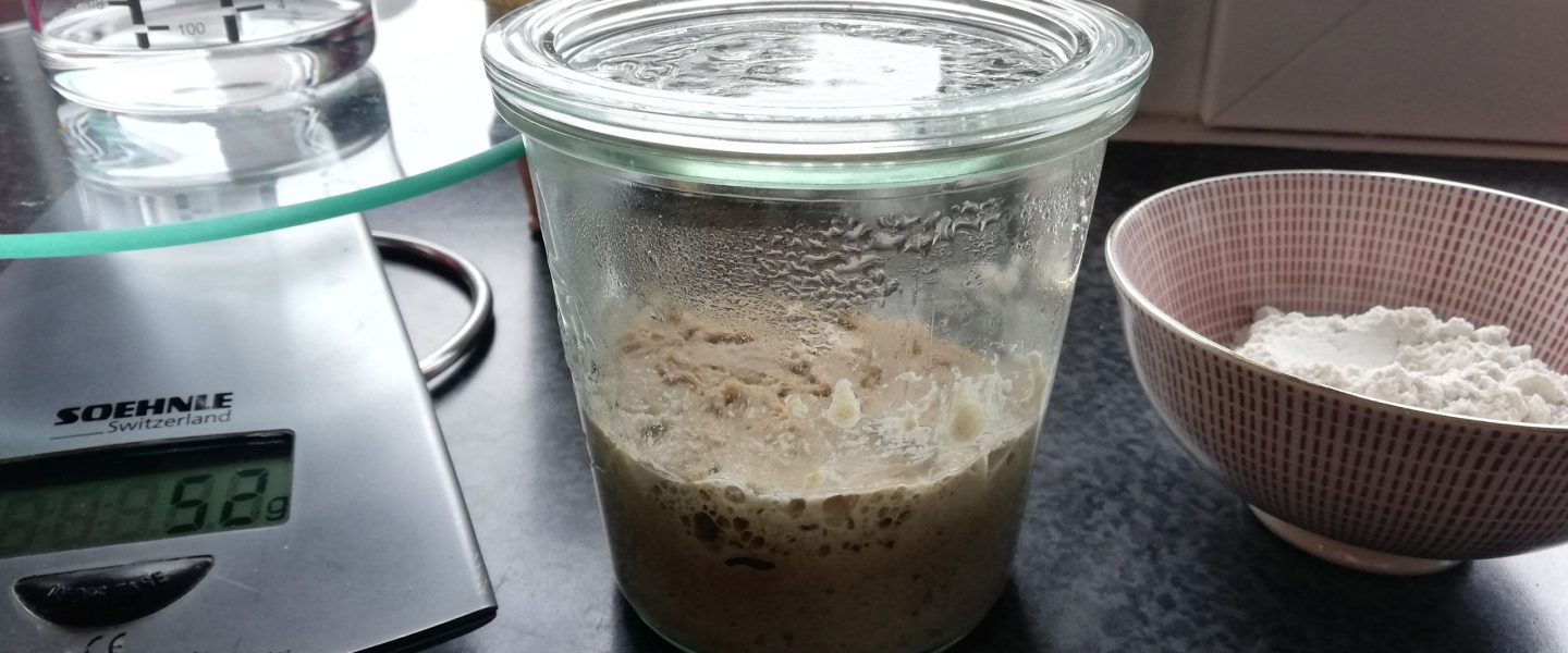 Basic starter / starter material for a sourdough